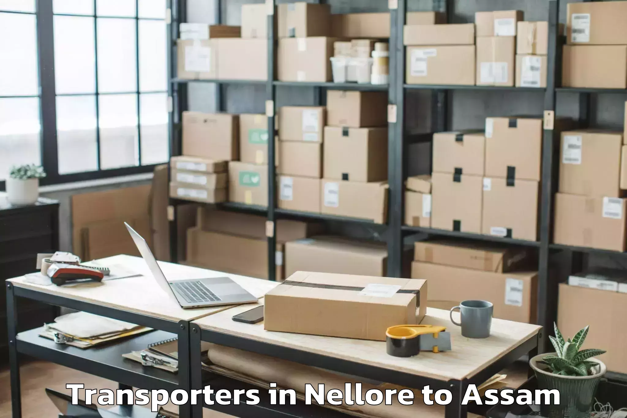 Book Nellore to Dokmoka Transporters